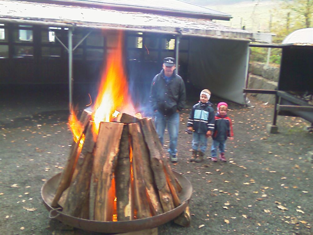 imag0003.jpg